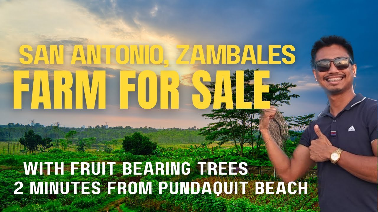 Farm with Fruit Bearing Trees in Pundaquit, Zambales for Sale! YouTube