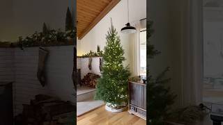 How to Light Your Christmas Tree Like a Pro! 🎄 #holiday #christmas #christmasdecor