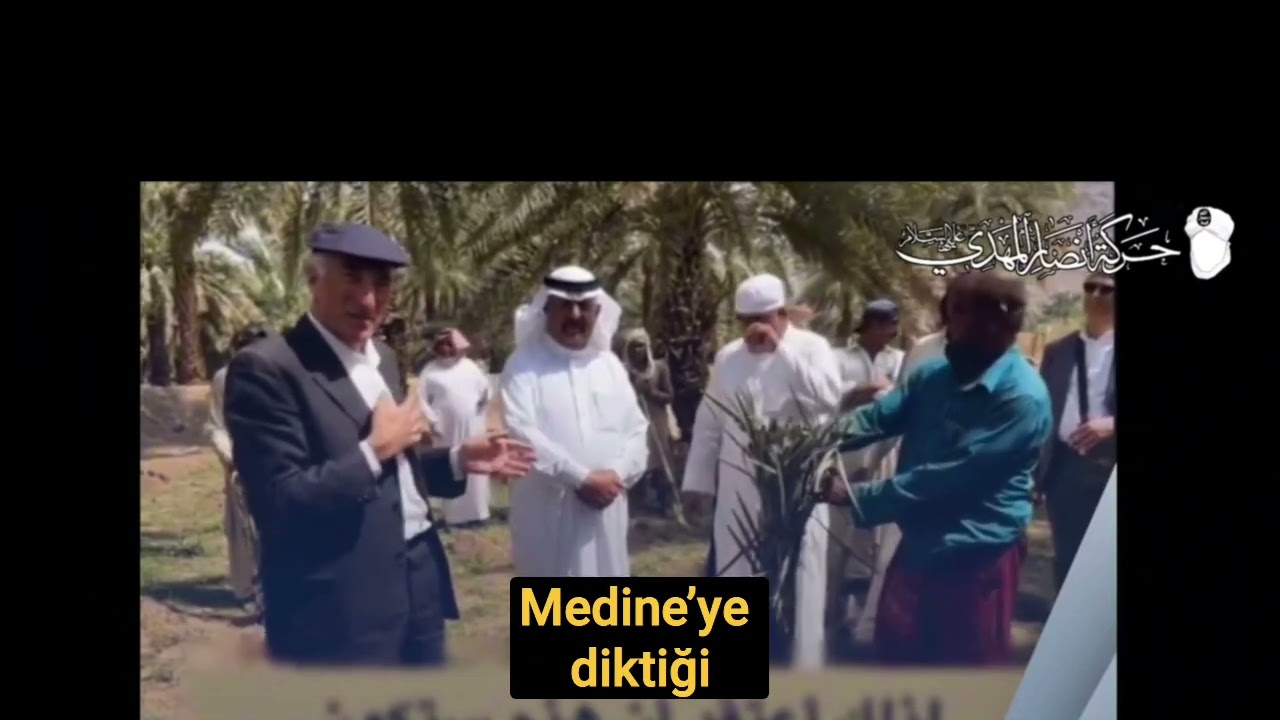 Neom, bin Selman ve Medine'deki ilk yahudi ağaç | Hasan Tihami hoca