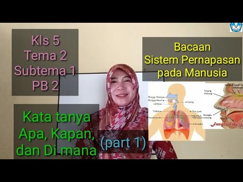 Daftar Pertanyaan Mengenai Bacaan Sistem Pernapasan Pada Manusia Part 1 Kls 5 Tm 2 Subtema 1 Pb 2 Youtube