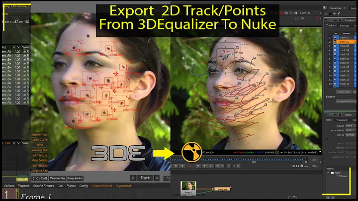 Export 2D Track Points From 3D Equalizer To Nuke | 3DEqualizer To Nuke 2D Points Export