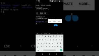 Install ngrok ditermux dan fix reconnect
