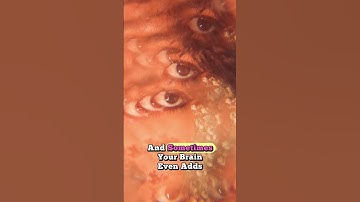 Your Brain Lies to You All the Time 🧠👁️ #facts