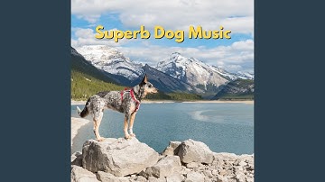 Luxurious Backdrops for Forgetting Mirrors