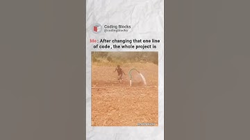 After changing One line of Code | Who else can relate | Coding Blocks! #code #codingblocks