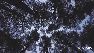 سورة النجم الاية ( ٢٧-٦٢) بصوت هزاع البلوشي ، تلاوة خاشعة