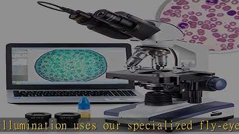 AmScope - 40X-2500X LED Digital Binocular Compound Microscope with 3D Stage + 0.3 MP USB Camera
