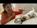 She Tasted Her FIRST Meal😊 | Ss vlogs :-)