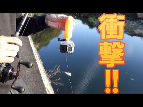 Goproを使って釣りを撮影してみよう 上手く撮る方法と豊富な機能をピックアップ