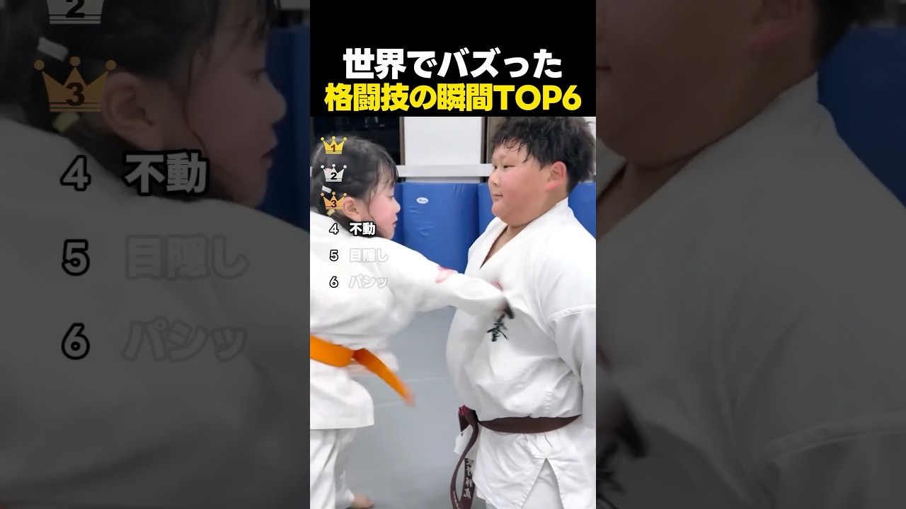 世界でバズった面白い格闘技の瞬間TOP6