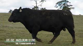 Hazeldean Lot 152