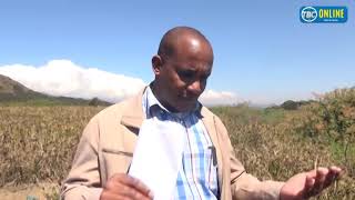 ZAO  LA ULEZI NA FURSA ZA KIUCHUMI