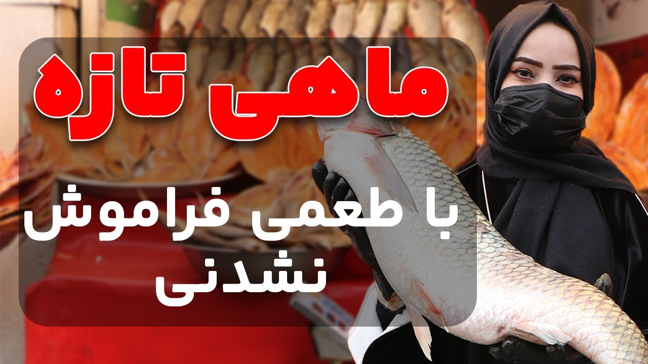 قیمت ترین ماهی جهان میدانید کدام است؟