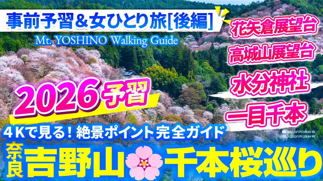[4K]後編🌸#吉野山 千本桜巡り2026予習🥰🌸 絶景ポイント完全ガイド/ #花矢倉展望台 #高城山展望台 #水分神社 #一目千本 #吉水神社