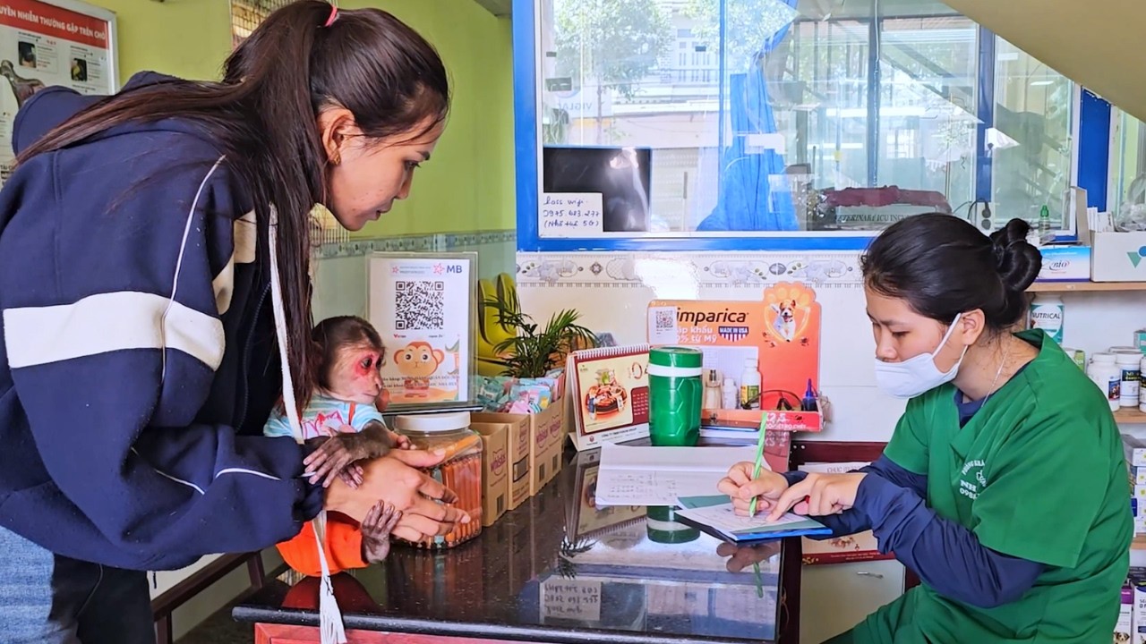 Perfect Day Out! SU & Mom City Walk & Health Check Up Adventure!