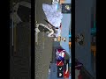 HEADSHOT MONTAGES WITH GANA SONG