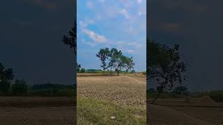 New Reel Viral Caption 微信支付寶收款 國外配送約2週左右 因天氣不可控因素可能延誤 能接受再下單可詢問客服配送進度.