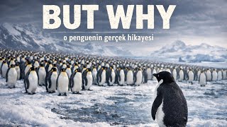 But Why ? Nihilist Penguenin Gerçek Hikayesi İnsanların Dile Getiremedikleri