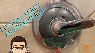 Fixing a leaky shower head (Replacing Delta Monitor Series 1400 Handle Cartridge)