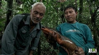 Face to Face with an Electric Eel | River Monsters