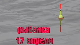 Не Ожидал Поймать Этих Рыб В Речке. Рыбалка На Поплавок 17 Апреля 2024.