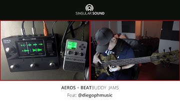 Singular Sound Artist Jams Feat: Diego Paredes Live Bass Loop Performance 🐟🎸🔥