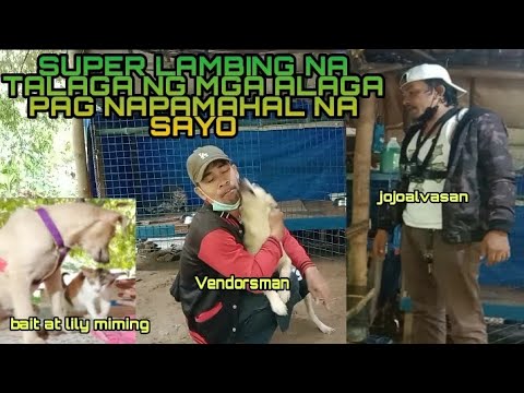 Video: Ano Ang Sinasabi Ng Pamumuhay Ng Alagang Hayop At Diet Tungkol Sa Iyo