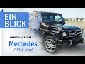 Mercedes AMG G63 (2016) – Was macht ihn so reizvoll?