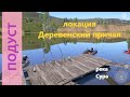 Русская рыбалка 4 - река Сура - Подуст трофейный с пристани