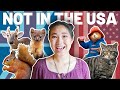 9 British Animals You Won't Find in America (UK Wildlife) 🦌