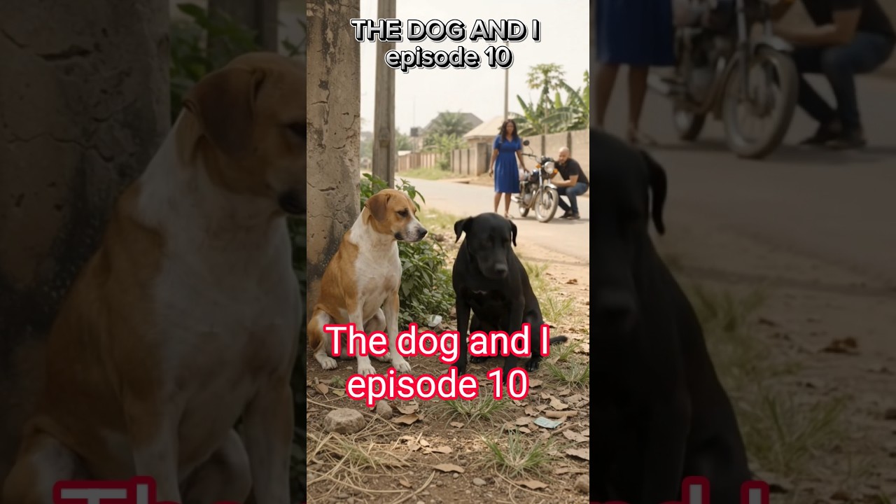 THE DOG AND I episode 10 out now.. just like, comment and share for more #dog #nollywoodmovies