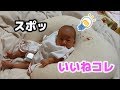 授乳クッションにすっぽりハマる赤ちゃんw Baby fits comfortably into nursing cushion