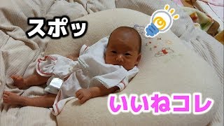 授乳クッションにすっぽりハマる赤ちゃんw Baby fits comfortably into nursing cushion