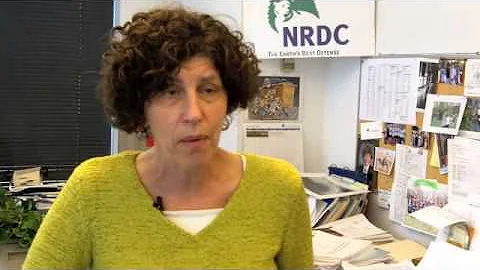 Toxic Chemicals 101:  NRDC Expert Linda Greer