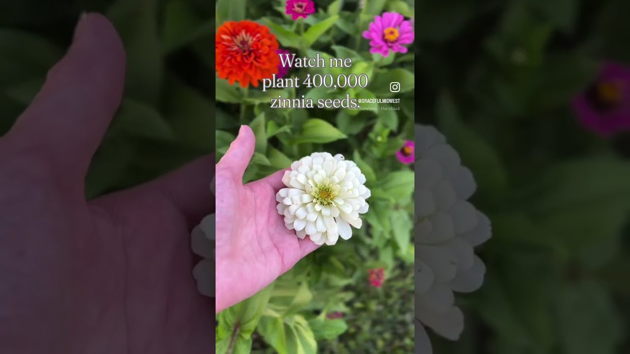 Let’s plant some flowers. 🌸 