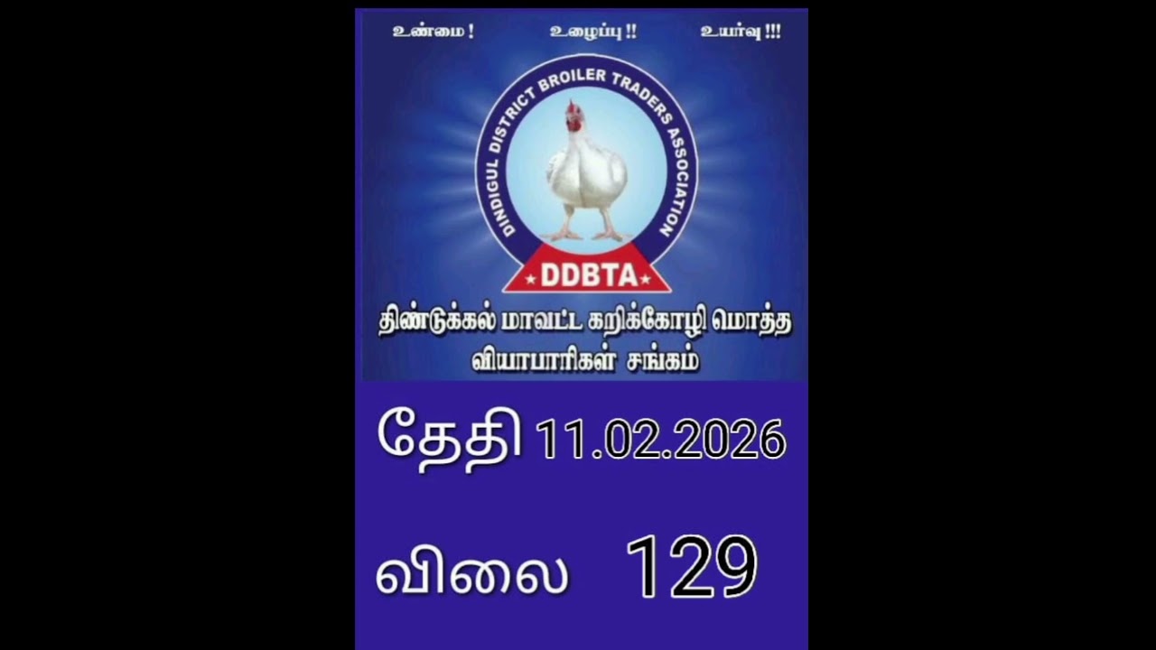 Dindigul chicken rate| today chicken rate