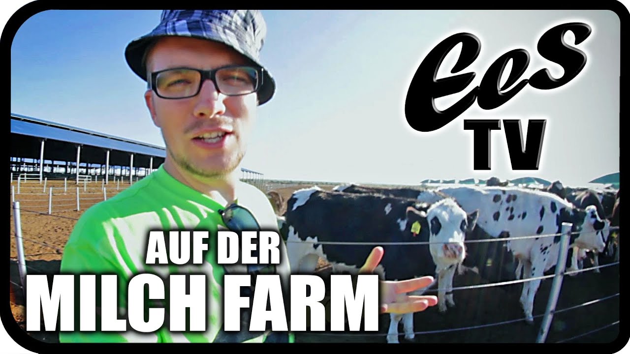 Größte Milch Farm in Namibia besucht