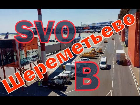 Video: Si Të Largoheni Nga Sheremetyevo