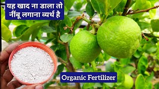 एक बार नींबू के पौधे में यह डाल दो, पौधा ढेरों फूलों से भर जाएगा, Lemon plant special fertilizer