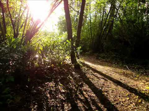 Take a Little Time Out/Harptree - Jon Anderson