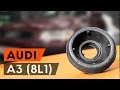 Cómo cambiar copelas del amortiguador delantero AUDI A3 1 (8L1) [INSTRUCCIÓN AUTODOC]