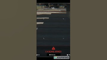 Bomb Drone Bug #shorts