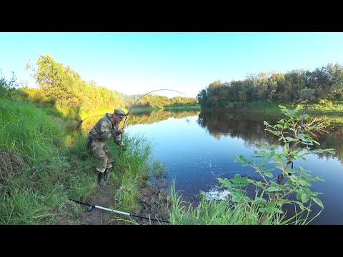 Видео: ПОСТАВИЛ ЖИВЦА НА ЩУКУ, ЗАКИНУЛ УДОЧКУ И ПОНЕСЛАСЬ. РАЗДАЧА РЫБЫ НА ОЗЕРЕ. ЛОВЛЯ РЫБЫ НА УДОЧКУ.