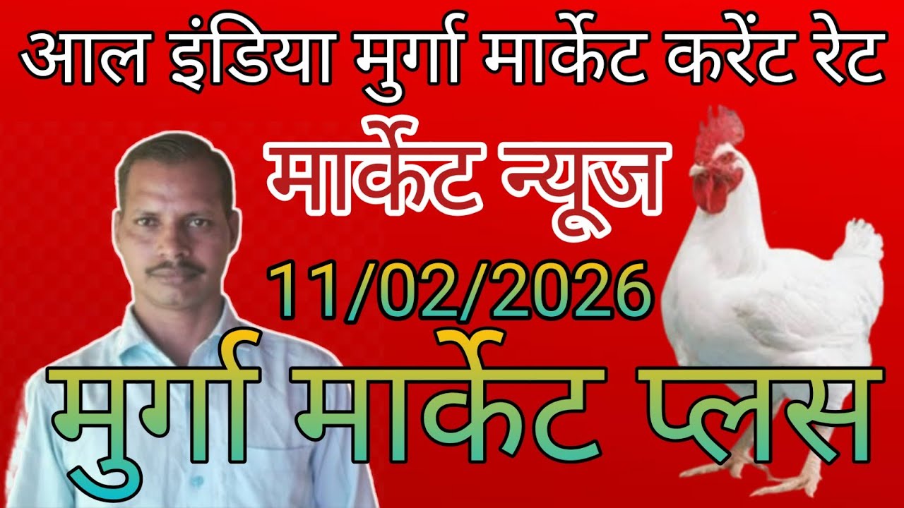 Poultry rate today in up/Poultry rate today/Poultry rate near me/Poultry rate per/Daily poultry rate