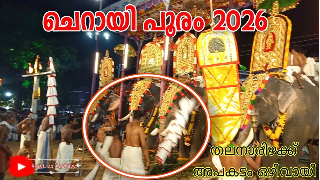 ചെറായി പൂരം 2026 | വൻ അപകടം ഒഴിവായി#cherai #pooram #elephant #viralvideo #temple 
