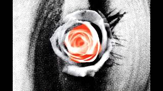 Watch Melvins Dr Mule video