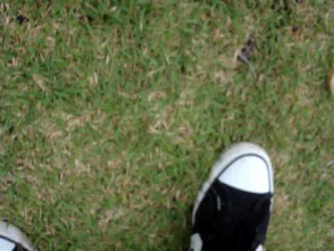 Pelarada batendo foto!