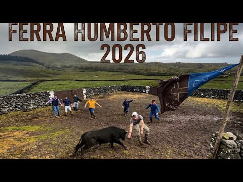 Tourada à corda, ilha Terceira, 2026