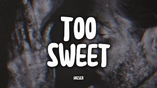 HOZIER - Too Sweet (Tradução)