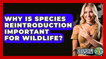 Why Is Species Reintroduction Important For Wildlife? - Ecosystem Essentials
